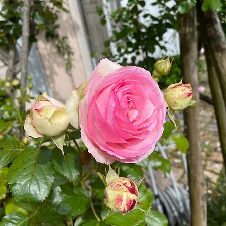 ホテル Belle Fontaine ブールジュ エクステリア 写真